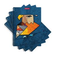 Тетрадь общая А5 80 листов в клетку на спирали Erich Krause Birds в ассортименте - фото