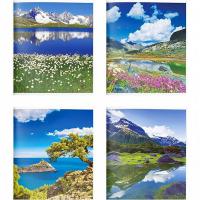 Тетрадь общая А5 96 листов в клетку на скрепке Creativiki Природа - фото