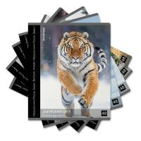 Тетрадь общая ученическая А5+ ErichKrause, Красная книга России, Звери, 48 листов, клетка - фото