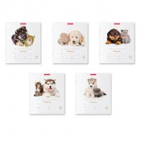 Тетрадь школьная А5+ 12 листов, ErichKrause Дружба, клетка  - фото