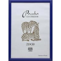 Рамка А4 21х30см пластиковая Зебра синего цвета 504 - фото