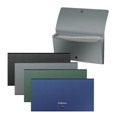 Папка-органайзер пластиковая Erich Krause Diamond Original Check size в ассортименте (12 отделений) - фото 1