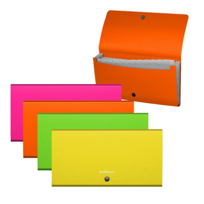 Папка-органайзер пластиковая Erich Krause Matt Neon Check size в ассортименте (12 отделений) - фото 1