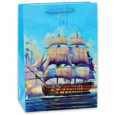 Пакет подарочный 220х310х100 мм бумажный Быстроходный корабль - фото 1