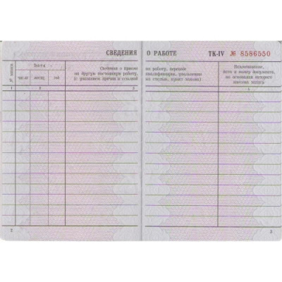 Трудовая книжка 88х125 мм Гознак - фото 3