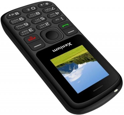 Мобильный телефон Xenium X160 черный - фото 3