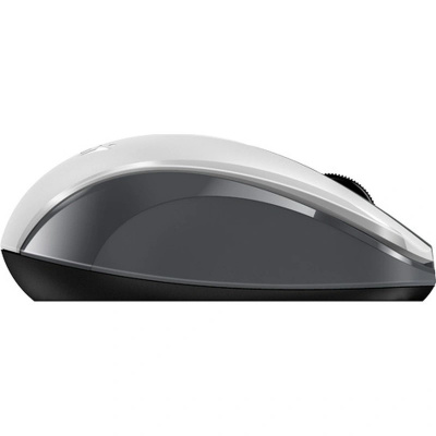 Мышь компьютерная беспроводная Genius NX-8008S (31030028403) бело-серый - фото 2