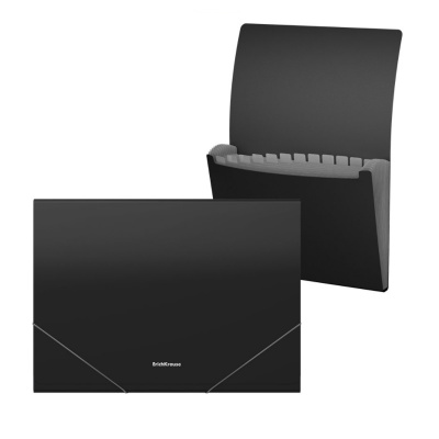 Папка-органайзер пластиковая А4 Erich Krause Matt Classic черная (12 отделений) - фото 1