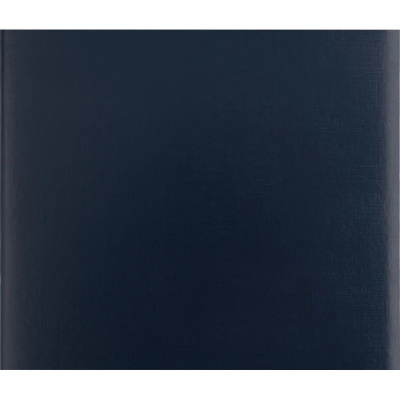 Папка адресная А4 бумвинил с поролоном синяя - фото 2