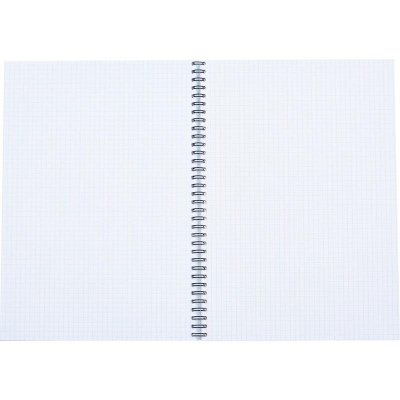 Бизнес-тетрадь А4 в клетку 96 л на спирали Attache Selection Fluid серо-голубая, цена, описание, фото 3 Бизнес-тетрадь А4 в клетку 96 л на спирали Attache Selection Fluid серо-голубая - фото 3