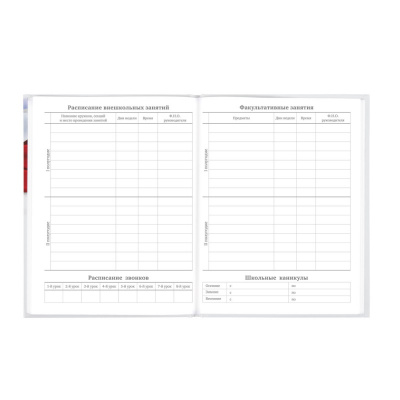 Дневник школьный для 5-11 класса 48 листов Brauberg Символика твердая обложка - фото 9