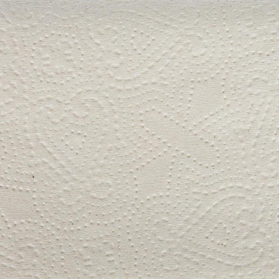 Полотенца бумажные д/дисп Luscan Professional Vслож1слнат втор 250л 20пач/уп - фото 6