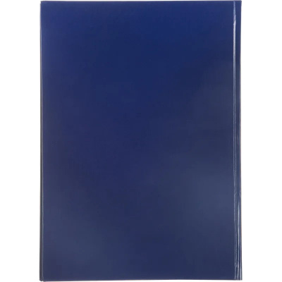 Книга учета А4 96 листов в линейку Attache обложка бумвинил - фото 5