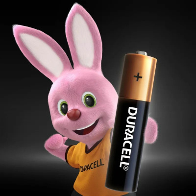 Батарейки DURACELL BASIC ААA/LR03-4BL - фото 6