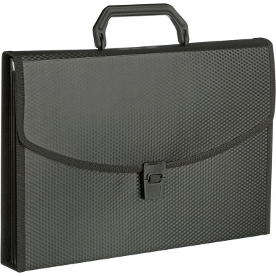 Папка-портфель пластиковая 240x340 мм на защелке Стамм черная (6 отделений) - фото 1