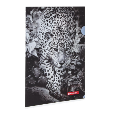 Папка уголок А4 150 мкм Brauberg Leopard с цветной печатью - фото 1