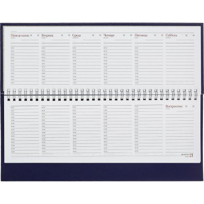 Планинг недатированный 305x130 мм балакрон 64 л Альт Ideal синий - фото 3