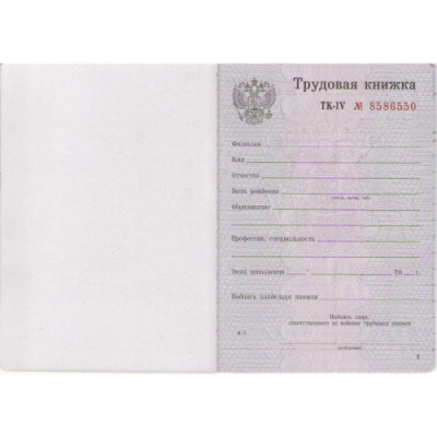 Трудовая книжка 88х125 мм Гознак - фото 2
