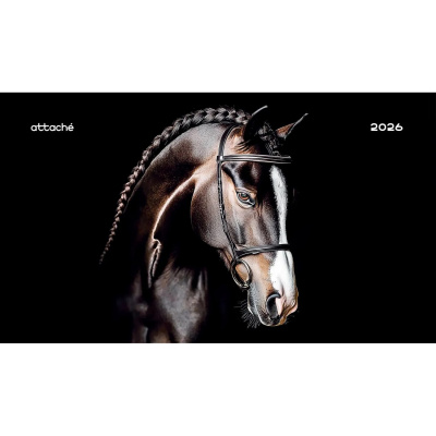Календарь настенный квартальный 3-х блочный 2026 на спирали 440х835мм Лошадь - фото 3