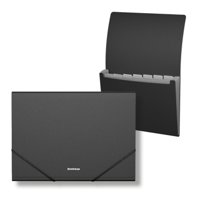 Папка-органайзер пластиковая А4 Erich Krause Matt Classic черная (6 отделений) - фото 1