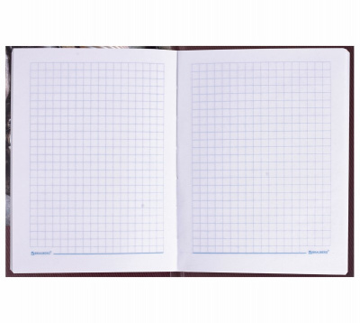 Блокнот А6 в клетку 80 л твердый переплет Brauberg Время - фото 2