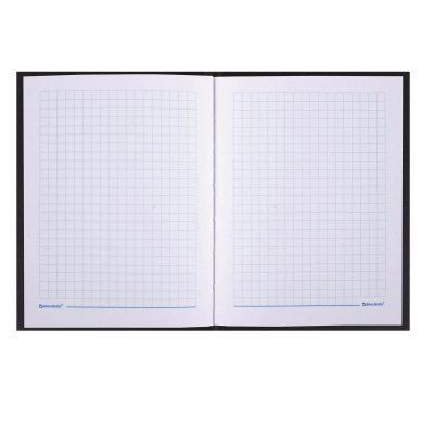 Блокнот А6 в клетку 80 л твердый переплет Brauberg Тигровый - фото 2