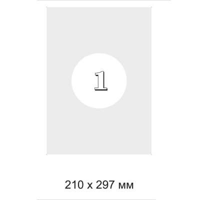 Этикетки самоклеящиеся А4 210х297 мм для инвентаризации серебристые Promega Label (1 шт на листе, уп - фото 2