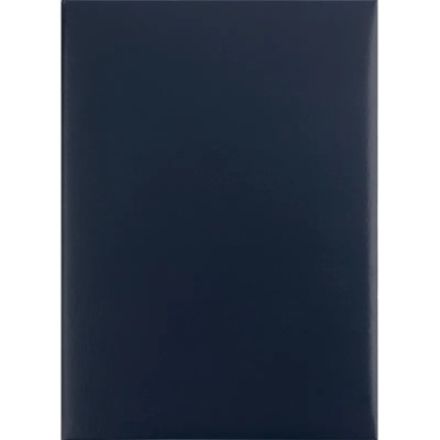 Папка адресная А4 бумвинил с поролоном синяя - фото 1