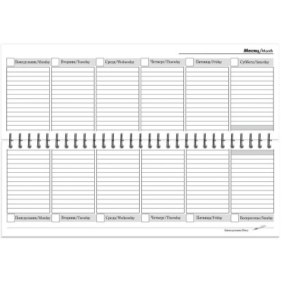 Планинг недатированный 295х100 мм картон 56 л Госсимволика - фото 2