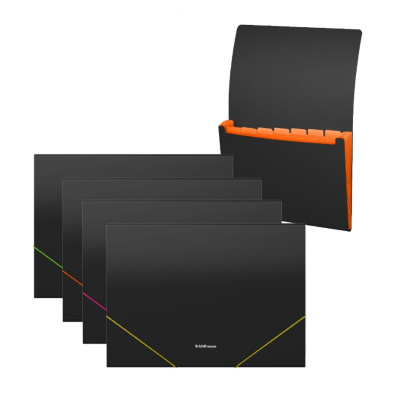 Папка-органайзер пластиковая А4 Erich Krause Matt Accent в ассортименте (12 отделений), цена, описание, фото 1 Папка-органайзер пластиковая А4 Erich Krause Matt Accent в ассортименте (12 отделений) - фото 1