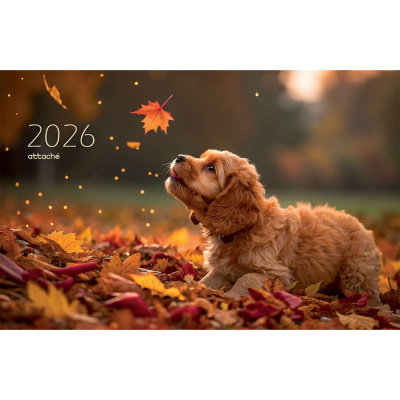 Календарь настенный квартальный 3-х блочный 2025 на спирали 305х675мм Щенок - фото 3